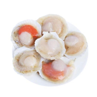 Sò Điệp Nửa Mảnh