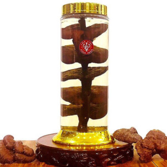 Bình Nấm Lim Xanh 5,5 Lít