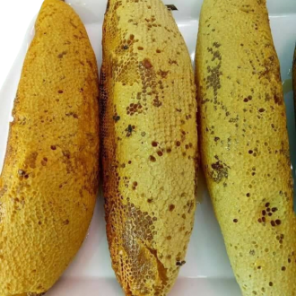 Mật Ong Nguyên Tổ Rừng