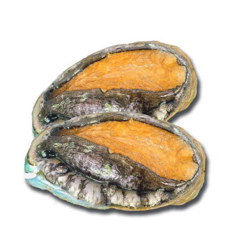 Bào Ngư Đông Lạnh Hàn Quốc 15-17con
