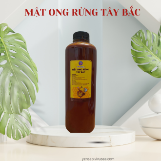 Mật Ong Ruồi Rừng Nguyên Chất 