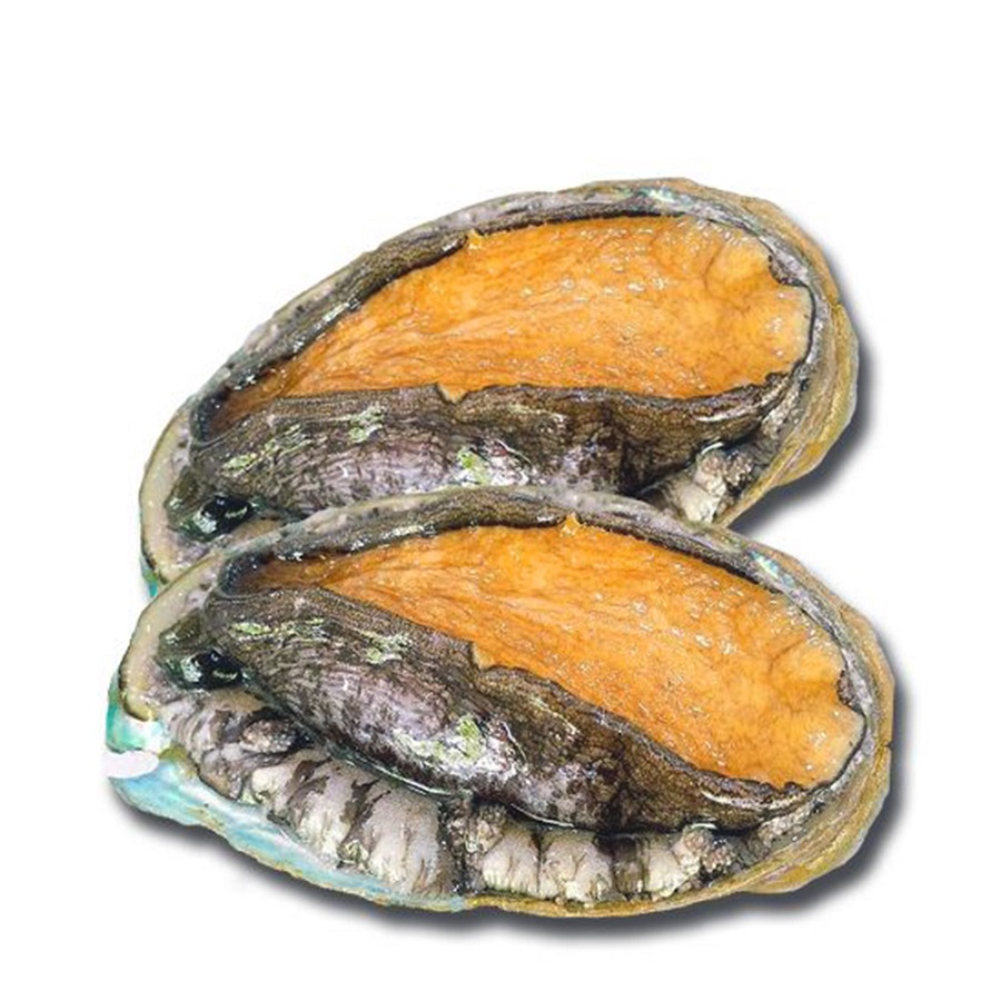 Bào Ngư Đông Lạnh Hàn Quốc 15-17con