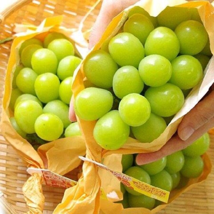 Nho Mẫu Đơn Hàn Quốc 